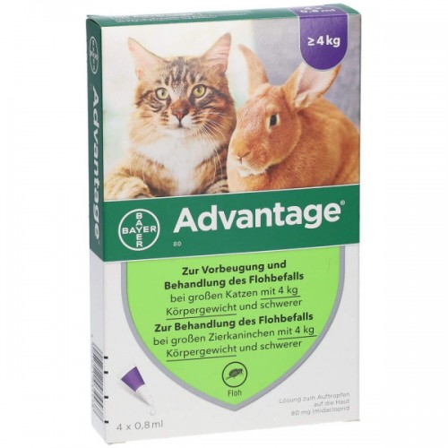 BAYER 貓用 Advantage® 蚤安 4-8KG 4支