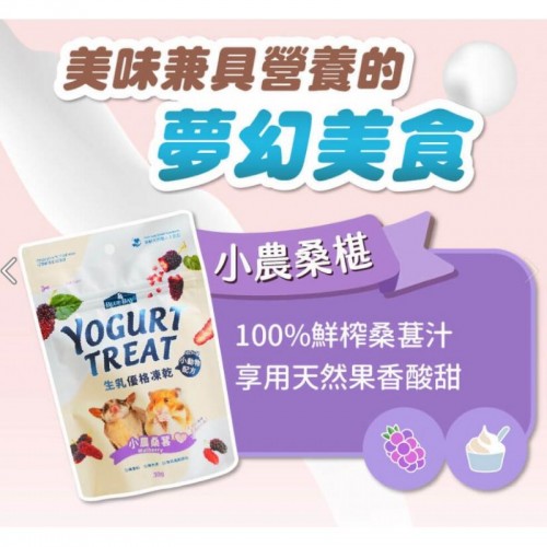 小動物優格-小農桑葚