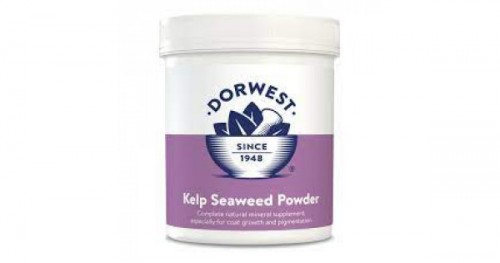 Dorwest – Kelp Seaweed Powder 美毛海藻粉 250g
